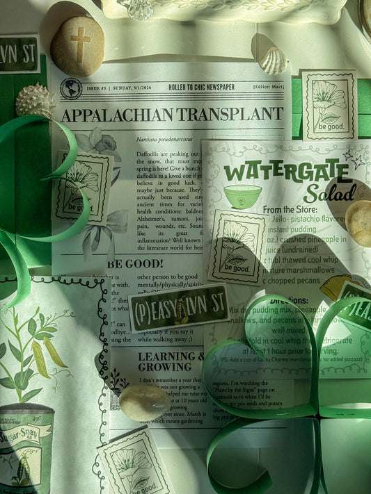 Catch Up’s! The Appalachian Transplant